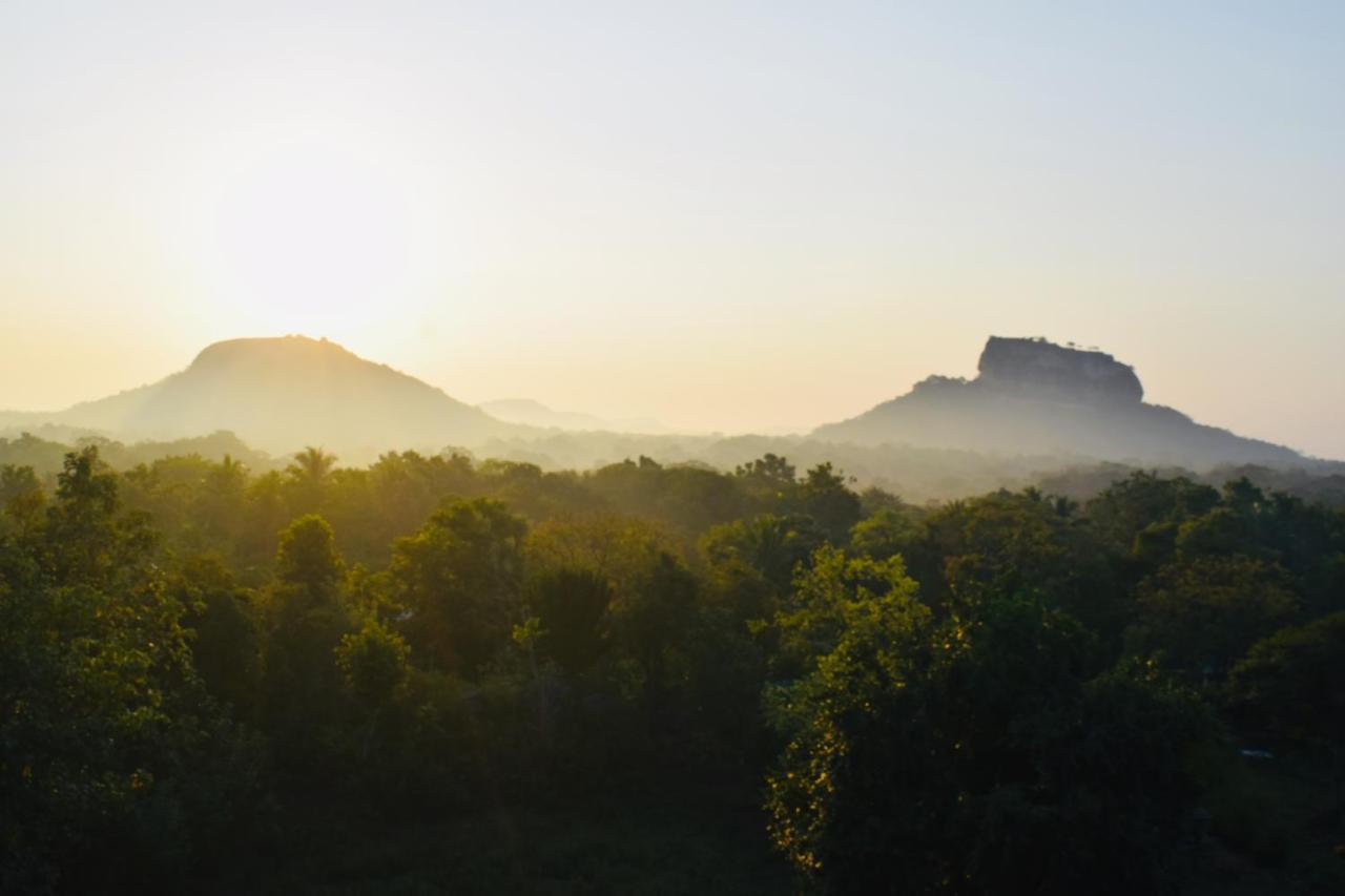 Green Hut Nature Resort Сигирия Екстериор снимка