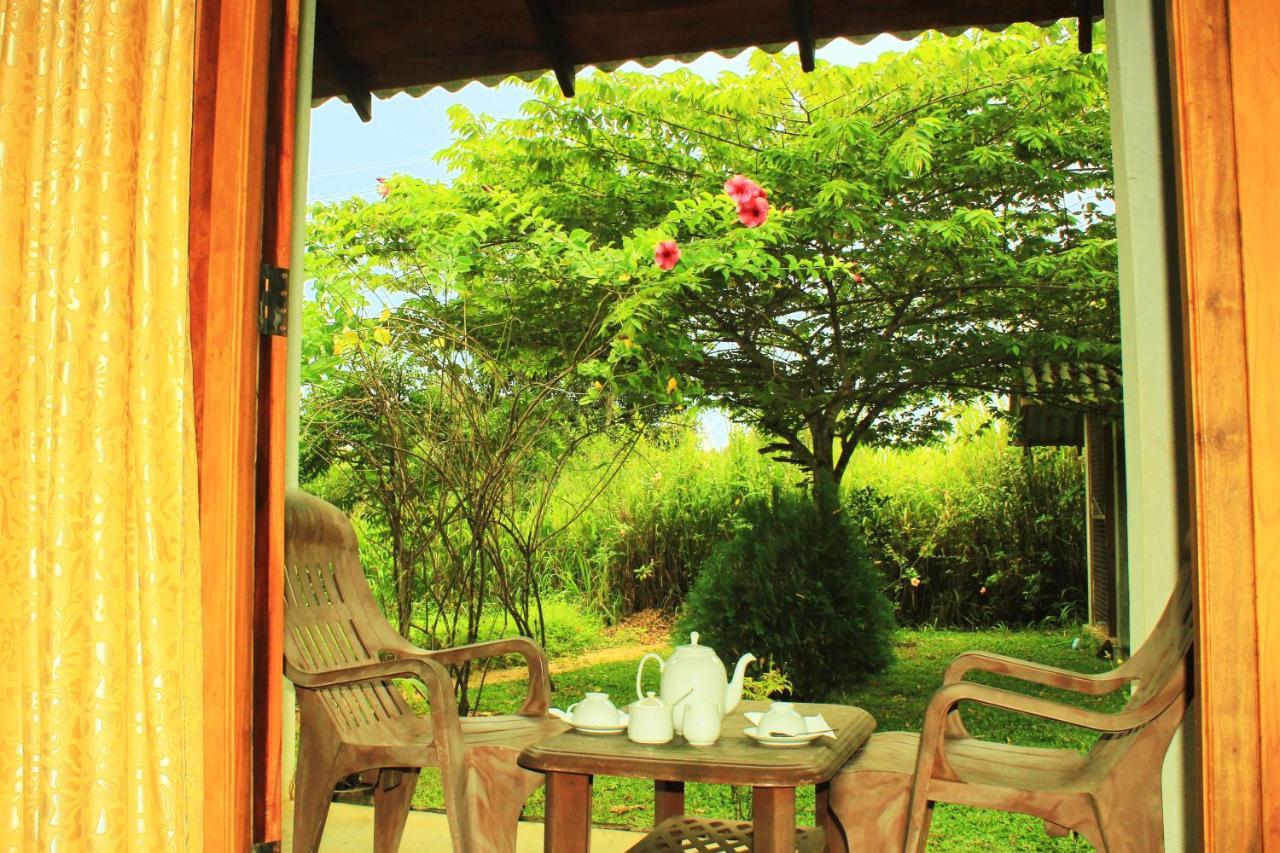 Green Hut Nature Resort Сигирия Екстериор снимка
